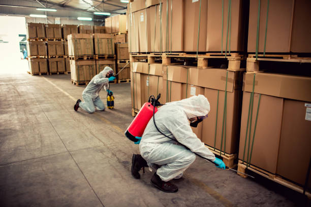 Best Flea Control Services  in Tell City, IN