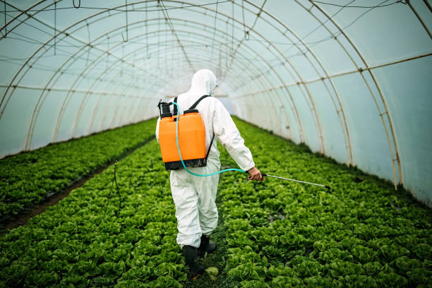 Best Residential Pest Control  in Tell City, IN