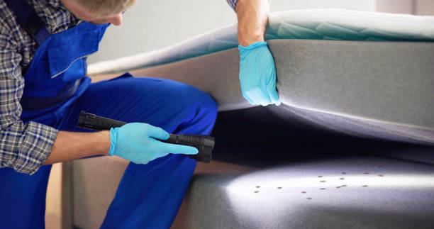 Best Affordable Pest Control Services  in Tell City, IN