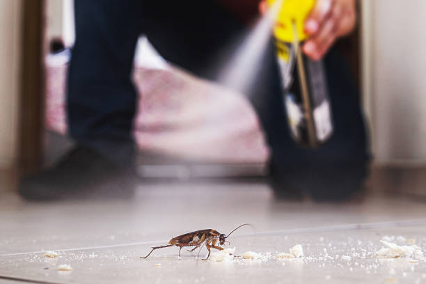 Best Mosquito Control Services  in Tell City, IN
