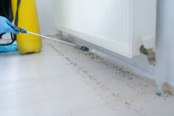 Best Rat Extermination Near Me  in Tell City, IN