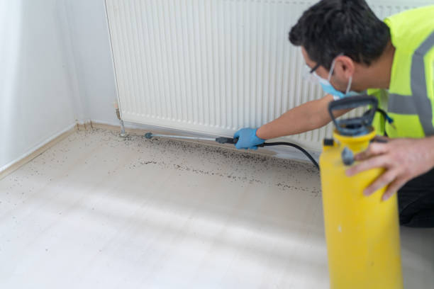 Best Best Pest Control Companies  in Tell City, IN